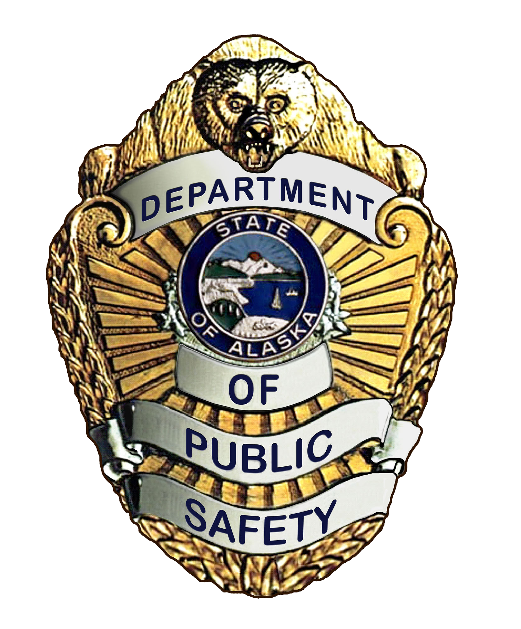 Department of Public Safety Badge