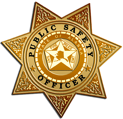 Department of Public Safety Badge