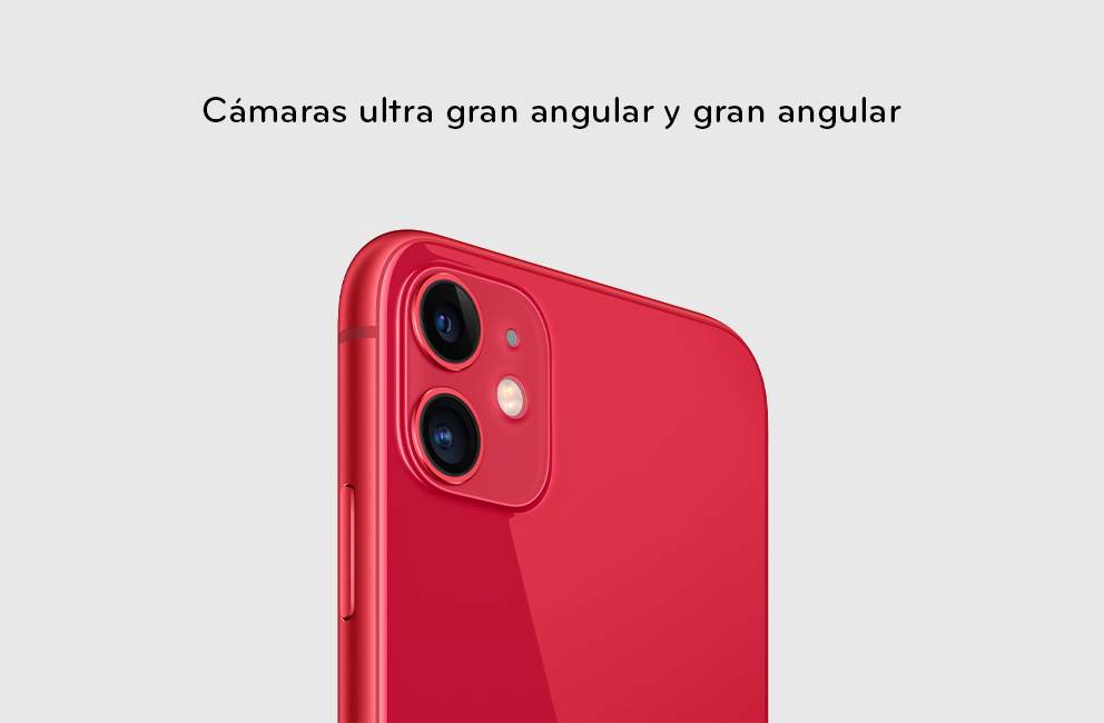 iPhone 11 con cámara ultra gran angular