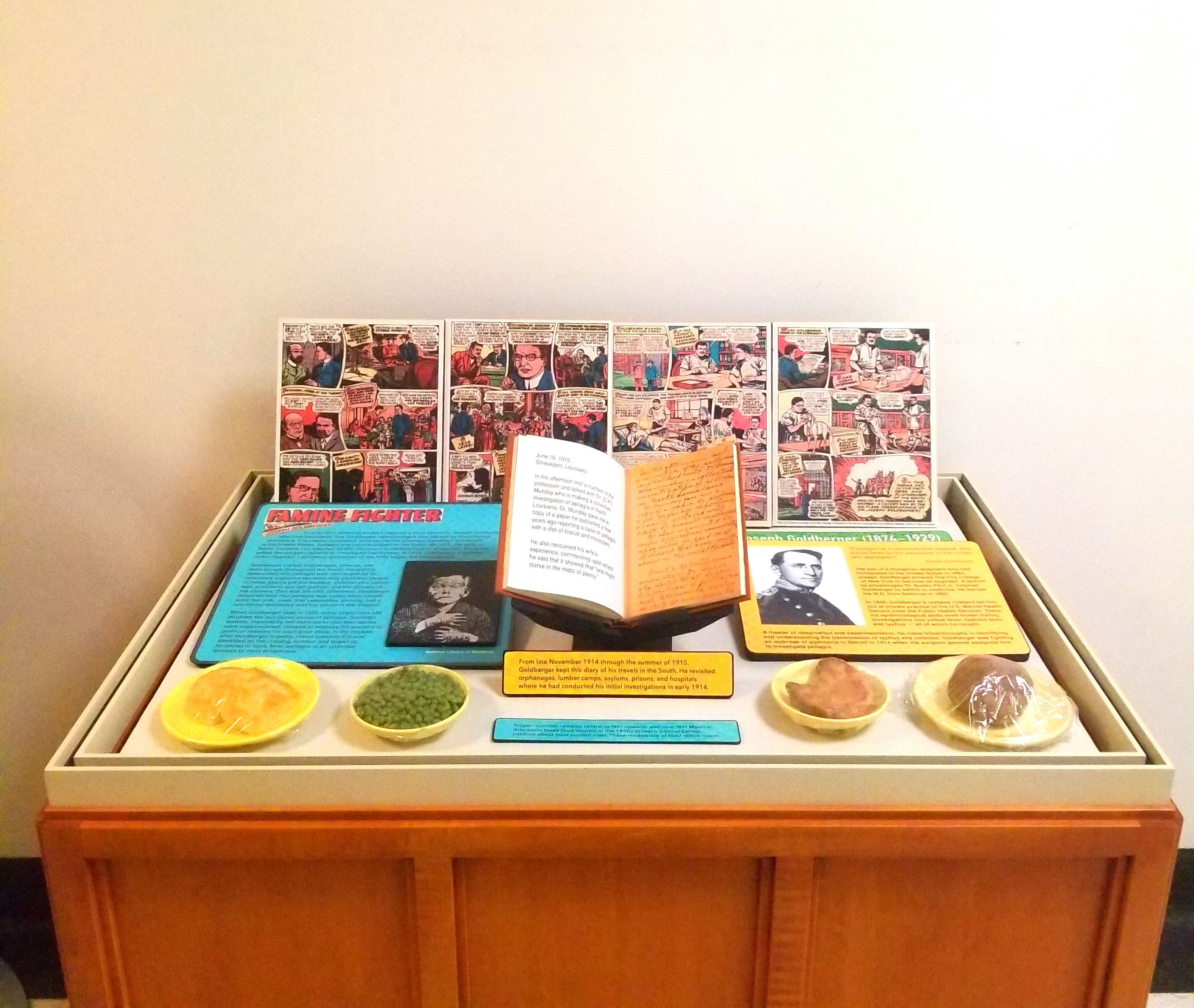 Display case of Dr. Goldberger's work