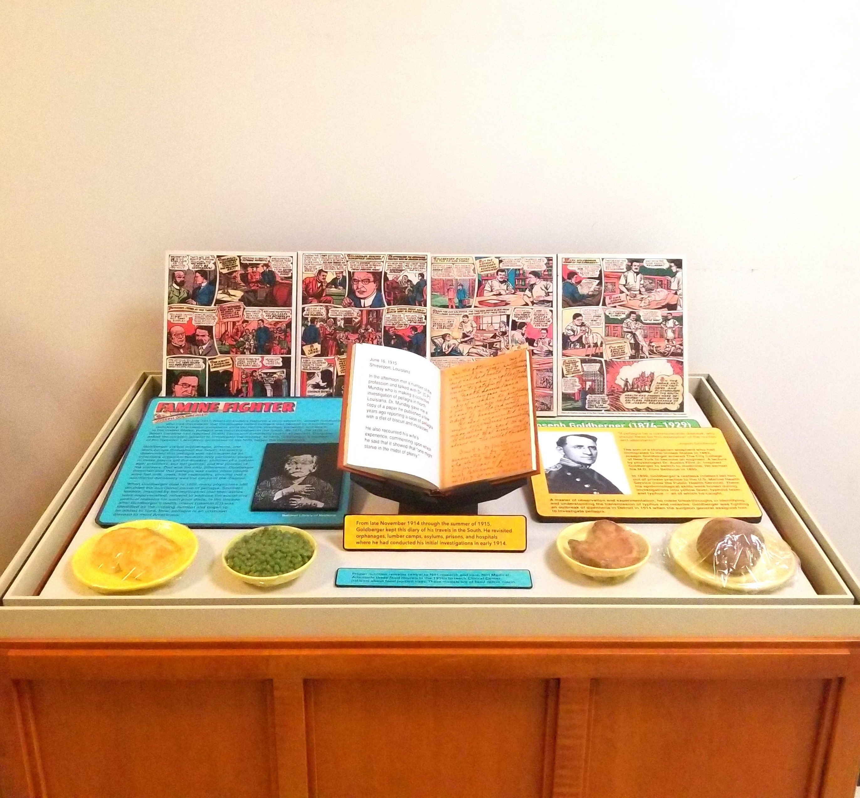 Display case of Dr. Goldberger's work