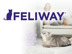 728 X 550 FELIWAY IMAGE.jpg