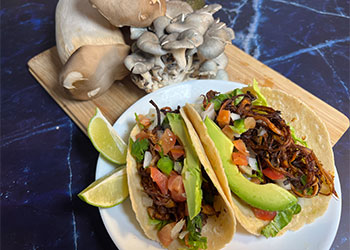 Two crispy wild mushroom tacos are sitting on white plate near a bunch of King oysters on a cutting board on blue marble counter.