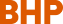 BHP Home - Logo