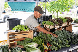 Person purchasing fresh fruits and vegetables