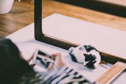 woman filming sleeping black and white cat