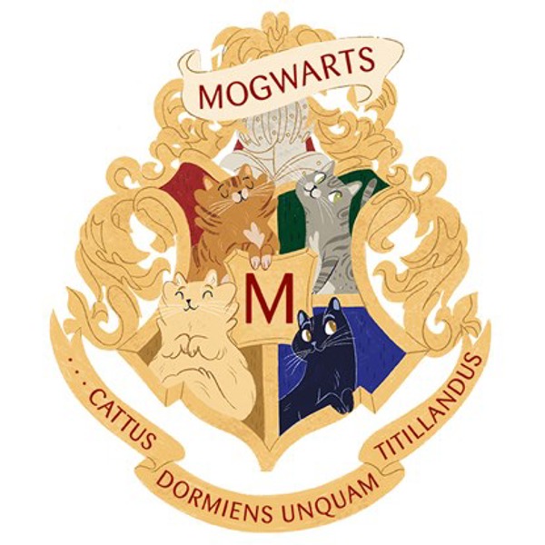 The Sorting Cat: Which Mogwarts house is your cat in?