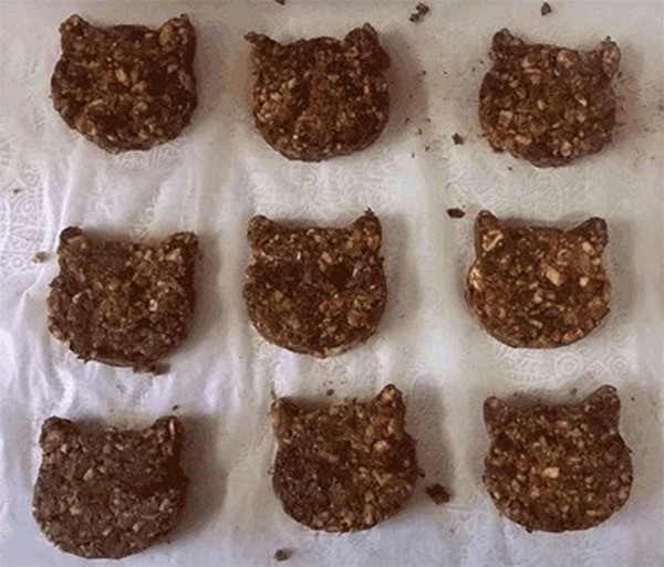 How to make healthy cat-shaped biscuits