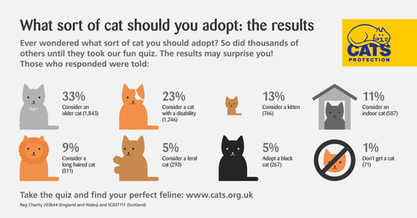 Cat quiz results: What sort of cat should you adopt?