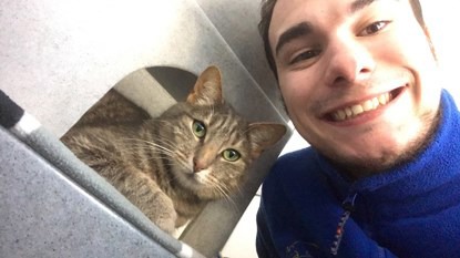 Reasons to volunteer with Cats Protection as a student