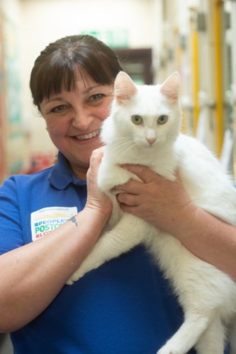 Exeter woman finds dream job – all thanks to her cat