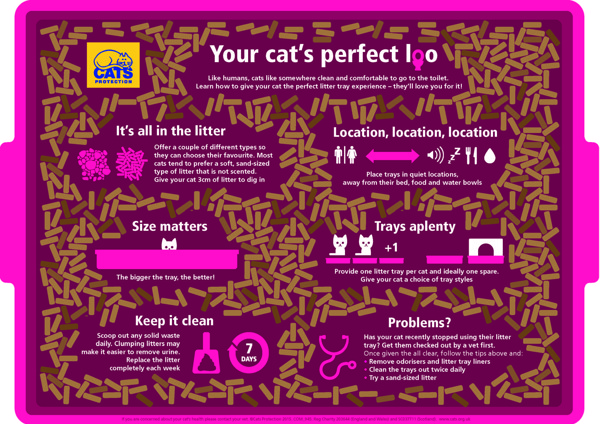 Your cat’s perfect loo