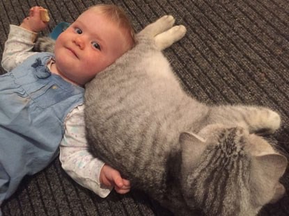 Kids and kitties: Heart-warming stories of cats and babies living happily together