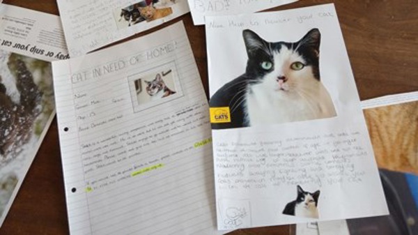 Kids become cat experts with new classroom talks