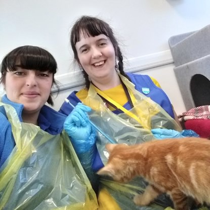 Volunteers’ Week 2019: What’s it like to volunteer for Cats Protection?