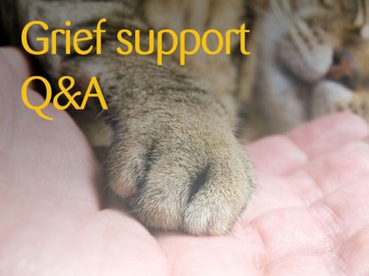 Coping with pet-related grief FAQs – part 1