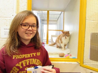 Enterprising schoolgirl gets crafty for the cats