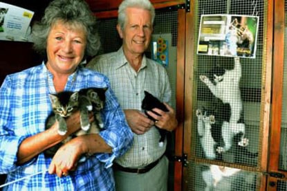 Award-winning Cats Protection volunteer has dedicated 15 years to cat welfare