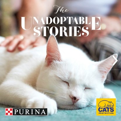 The Unadoptable Stories – all cats deserve to find their perfect match