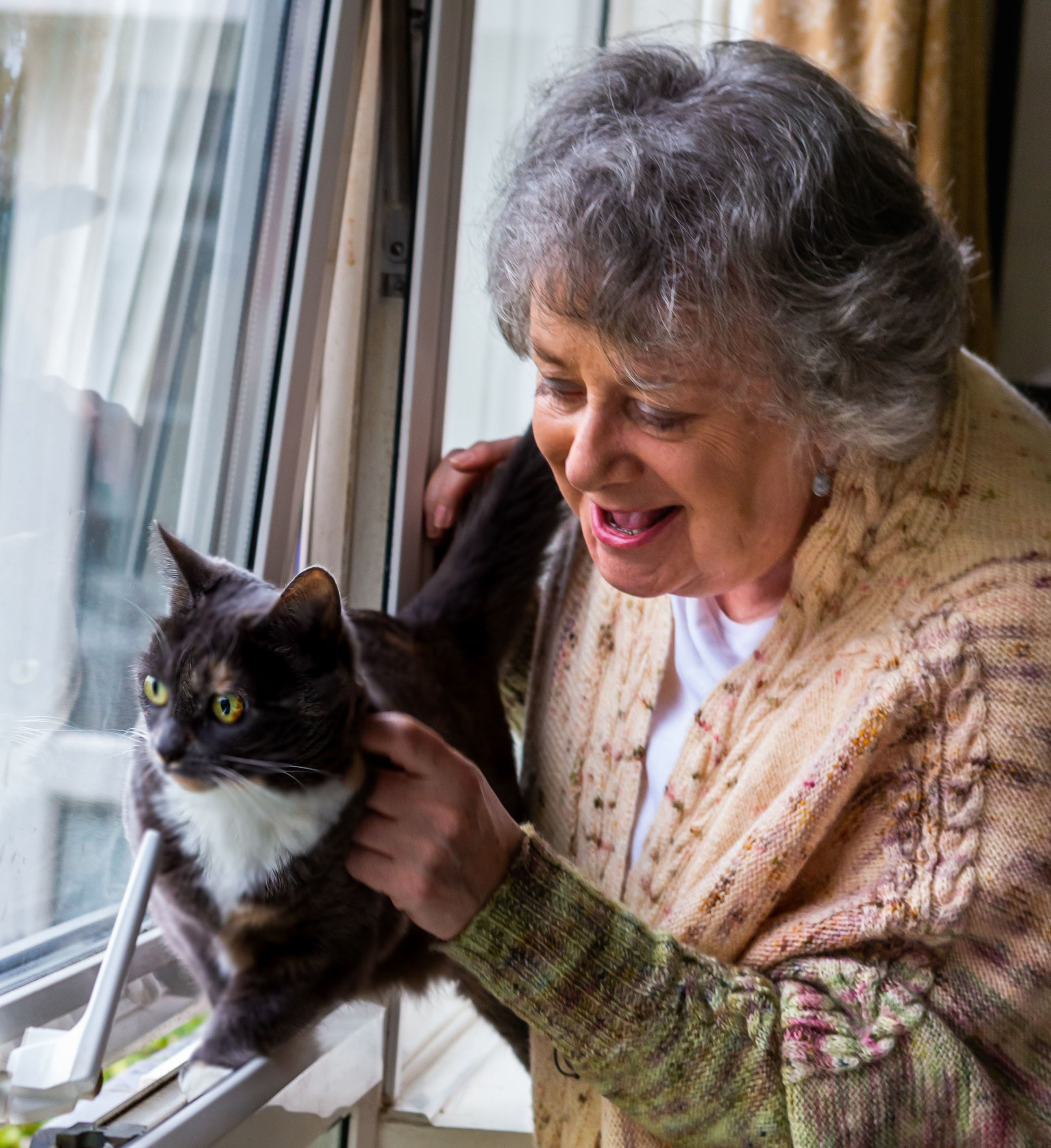 20,000 cats homed through pioneering online adoption process