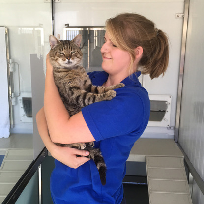 Blonde woman holding tabby cat