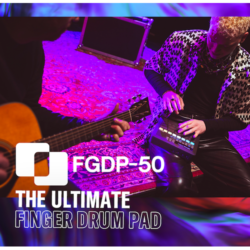 FGDP-50 player and guitarist in session on stage