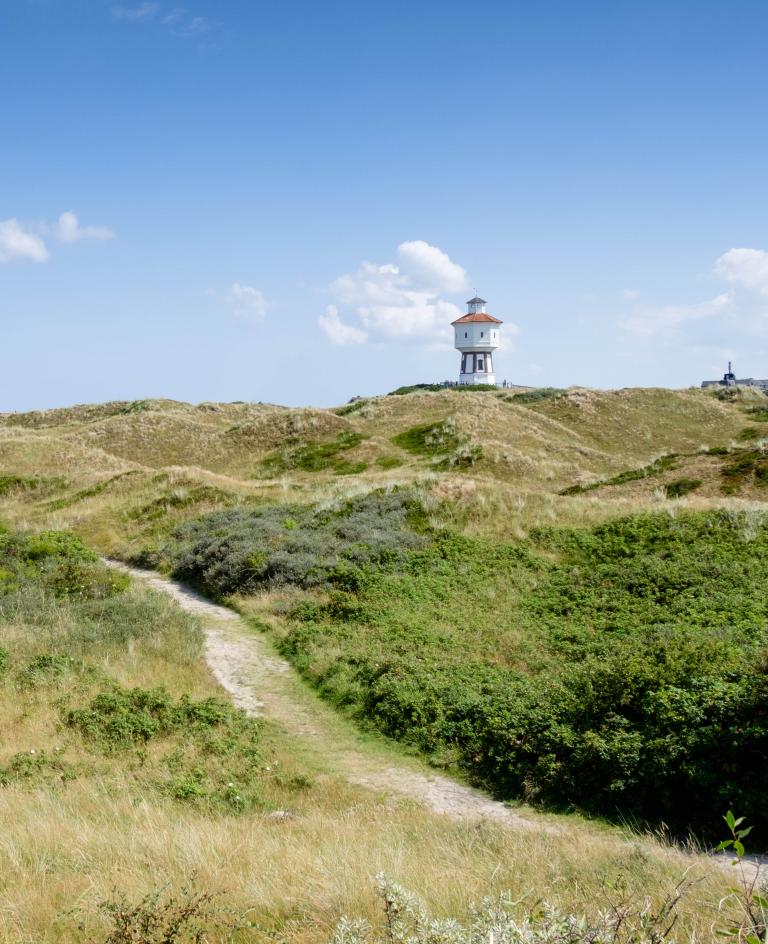 Blick über die Dünen auf den Wasserturm