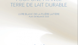 Livre blanc plan de relance