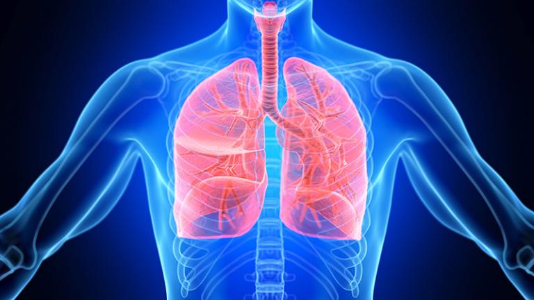 A medical illustration of a person’s lungs and respiratory system is shown.