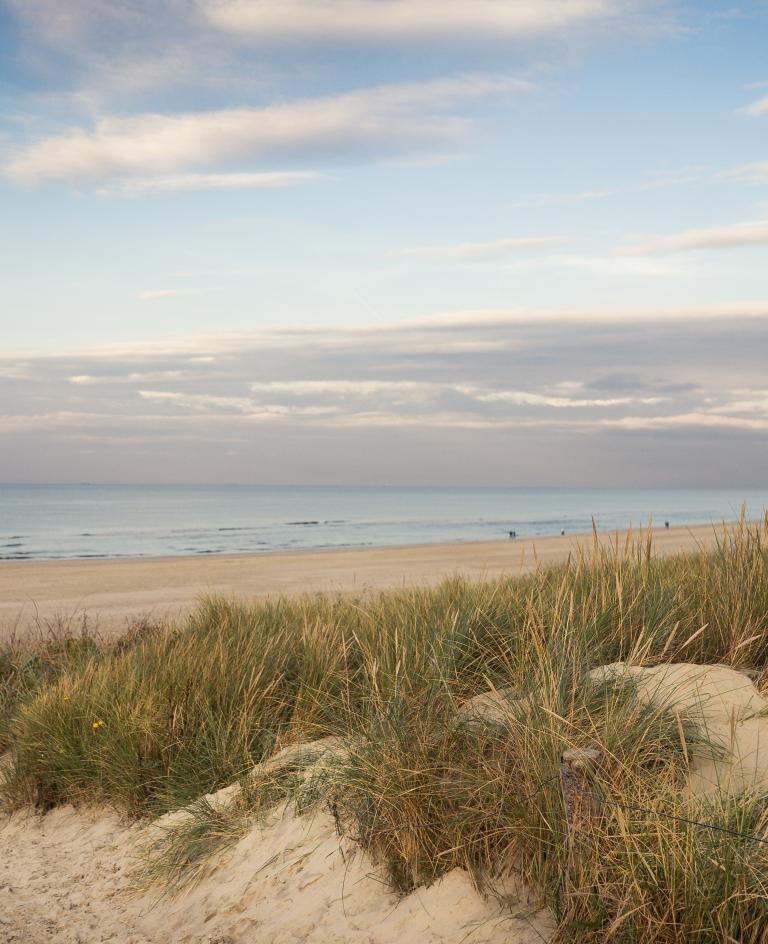 Strand Langeoog