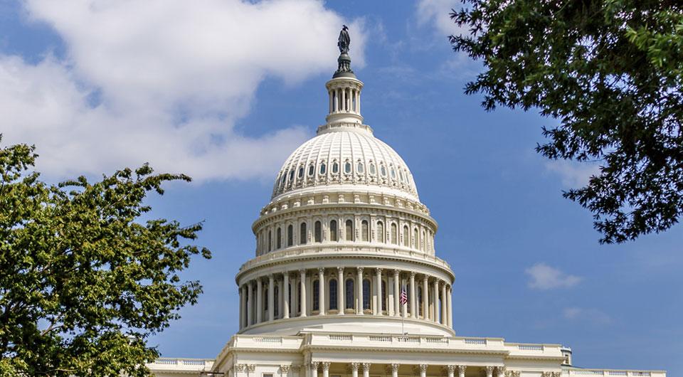 Capitol dome