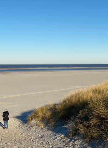 Einsamer Winterstrand