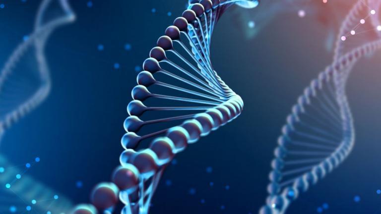 illustration of several strands of DNA-like double helixes