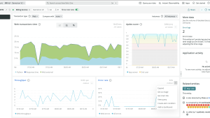 View of New Relic APM dashboard