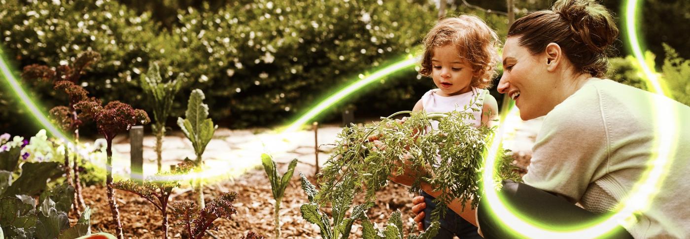 Parent gardening with child