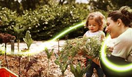 Parent gardening with child