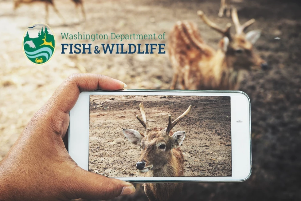 Snap Your Best Shot for the WDFW Big Game Hunting Photo Contest