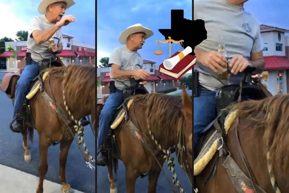 Why You Can’t Get A DUI On A Horse In Texas