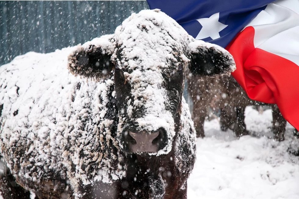 Texas 5 Worst Winter Storms