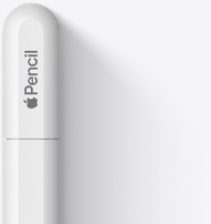 ด้านบนของ Apple Pencil USB-C มีลักษณะโค้งมน มีโลโก้ Apple และข้อความ Pencil ปลายด้านบนมีเส้นที่แสดงรอยต่อที่สามารถเปิดฝาออกเพื่อเชื่อมต่อกับสาย USB-C