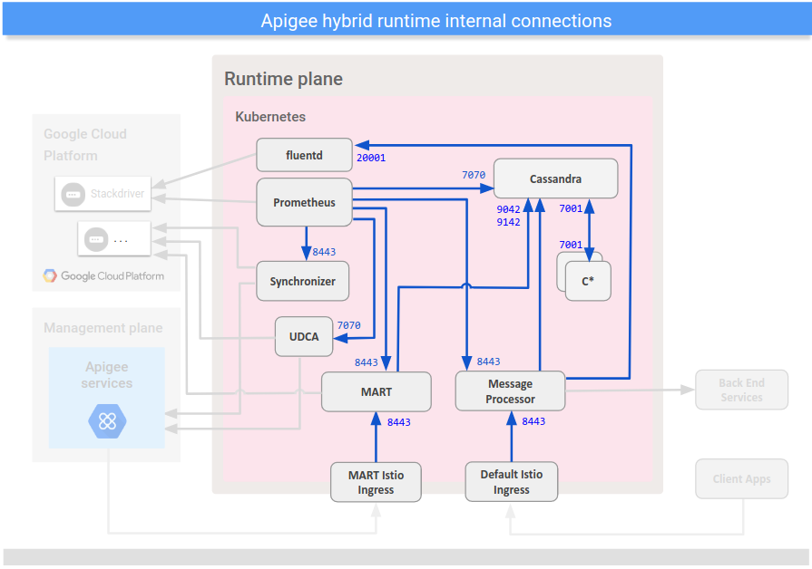 Shows connections
between internal components on the hybrid runtime plane