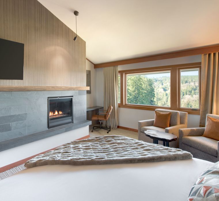 A View Of A Guest Room With A Fireplace And A Large Window