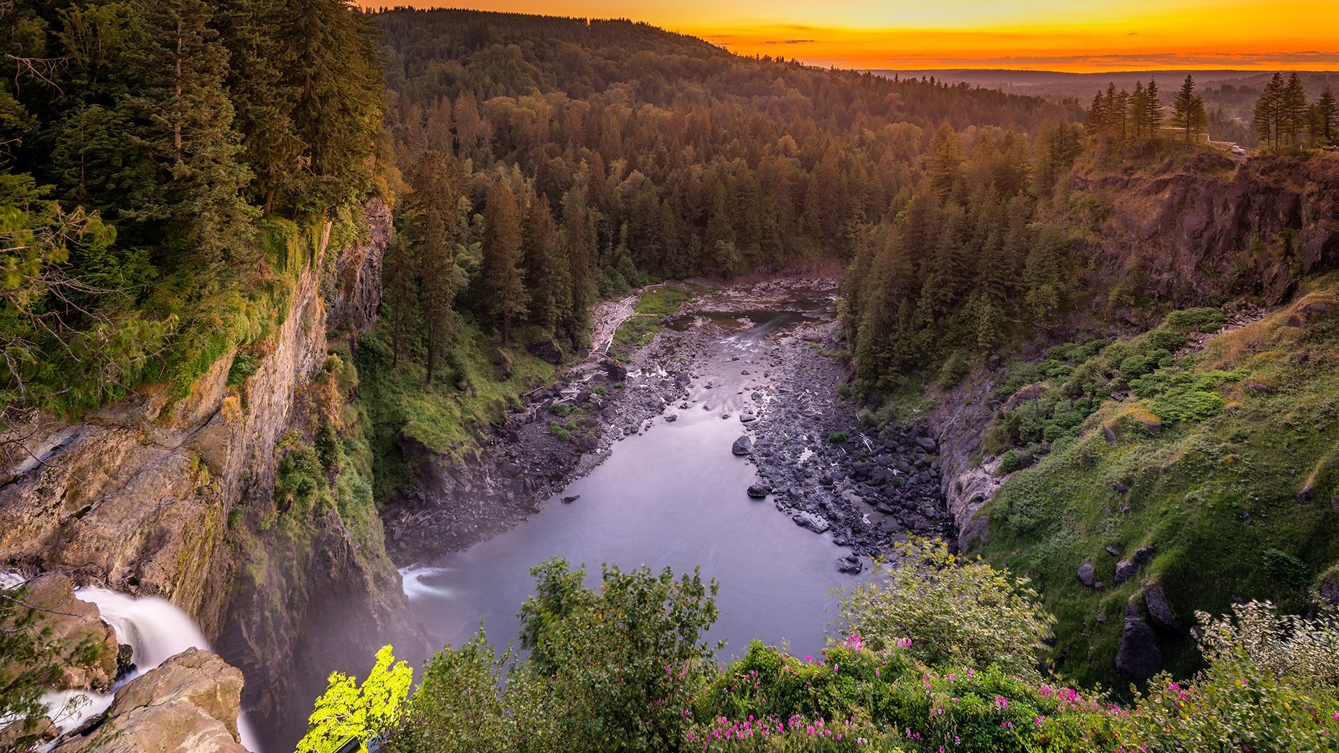 A River Running Through A Forest