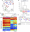 Metformin impacts DNA methylation of host CA-MSCs and prevents CA-MSC–induc