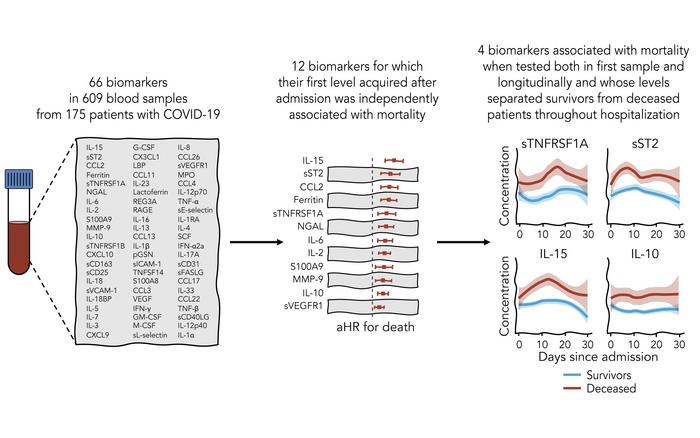 graphical abstract