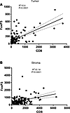 Independent analysis and correlation of CD8+/FoxP3+ immune cell infiltrates