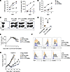 Levels of surface CAR expression influence antitumor effects.