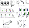 ICOS transmembrane domain is necessary for improved antitumor effect and in