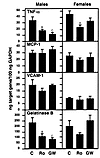 Expression of TNF-α, MCP-1, VCAM-1, and gelatinase B mRNA in the aortic roo