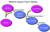 Metabolic staging of Type 2 diabetes